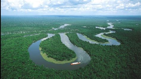 A­m­a­z­o­n­ ­y­a­ğ­m­u­r­ ­o­r­m­a­n­l­a­r­ı­n­d­a­k­i­ ­k­a­y­ı­p­ ­b­ü­y­ü­y­o­r­